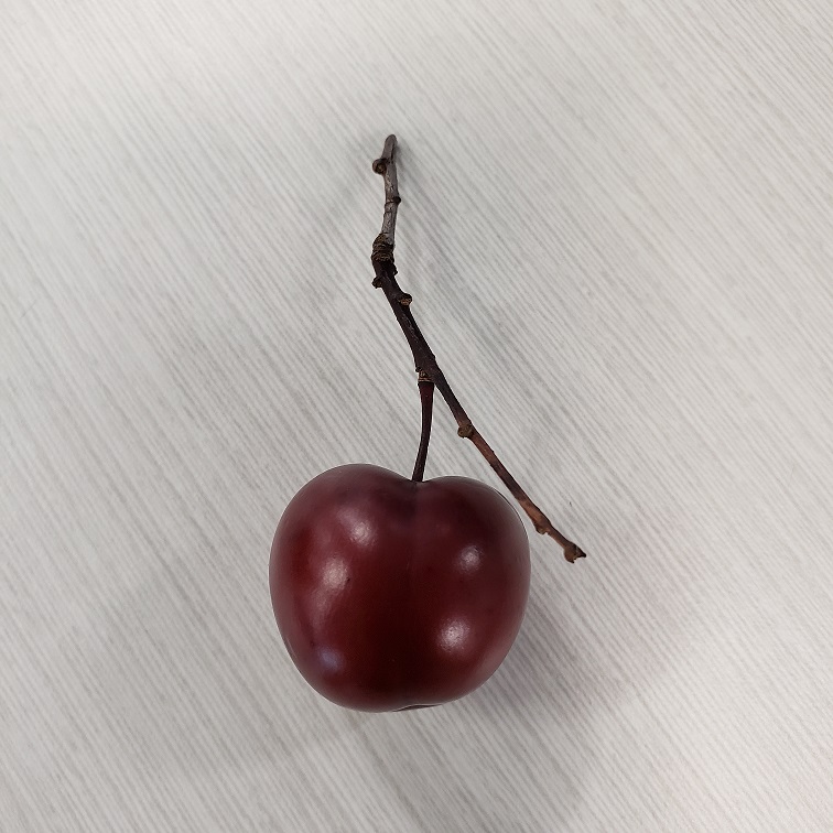 Cherry Plum.jpg